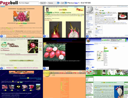 ����� ������ pagebull ���� ��� ���� �� ���� 